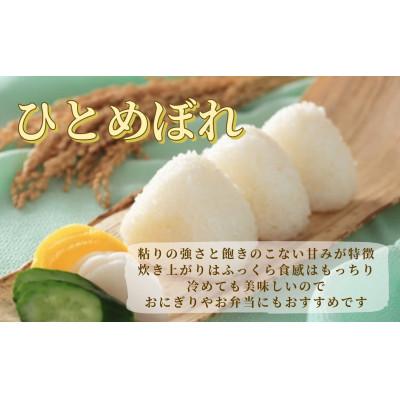 ふるさと納税 栗原市 【令和7年産】宮城栗原産 ひとめぼれ 白米30kg (5kg×6袋) |  | 01