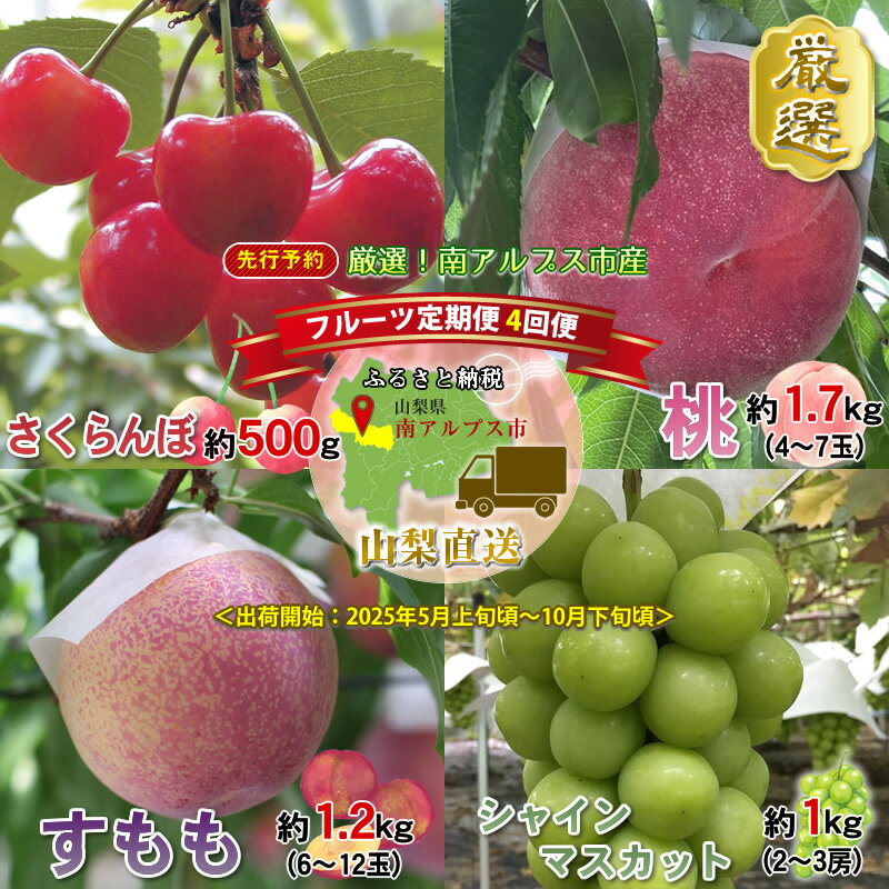 【ふるさと納税】 ＜2025年発送分先行予約＞厳選！南アルプス市産　『フルーツ定期4回便』　【さくらんぼ・もも・すもも・シャインマスカット】 ふるさと納税 果物 フルーツ さくらんぼ もも 葡萄 シャインマスカット おすすめ 山梨県 南アルプス市 送料無料 ALPDD002