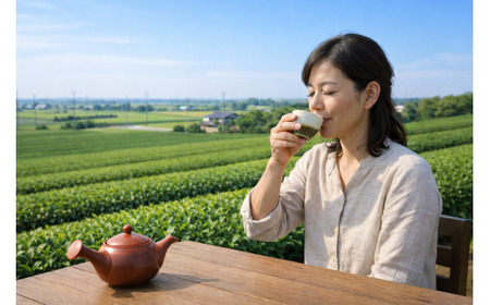 八女茶 1煎パック（10g茶葉入り） 9個 計90g お茶 茶葉 茶 緑茶 煎茶 日本茶 福岡県 筑後市【2026年1月から順次発送予定】