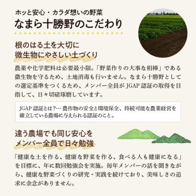 ふるさと納税 芽室町 【10月より配送】北海道芽室町 なまら十勝野の季節のおまかせ野菜セット(秋) me001-004c |  | 02