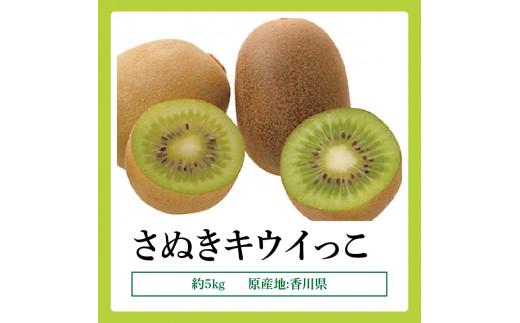 さぬきキウイっこ　約5kg【2024-10月下旬～2024-12月下旬配送】