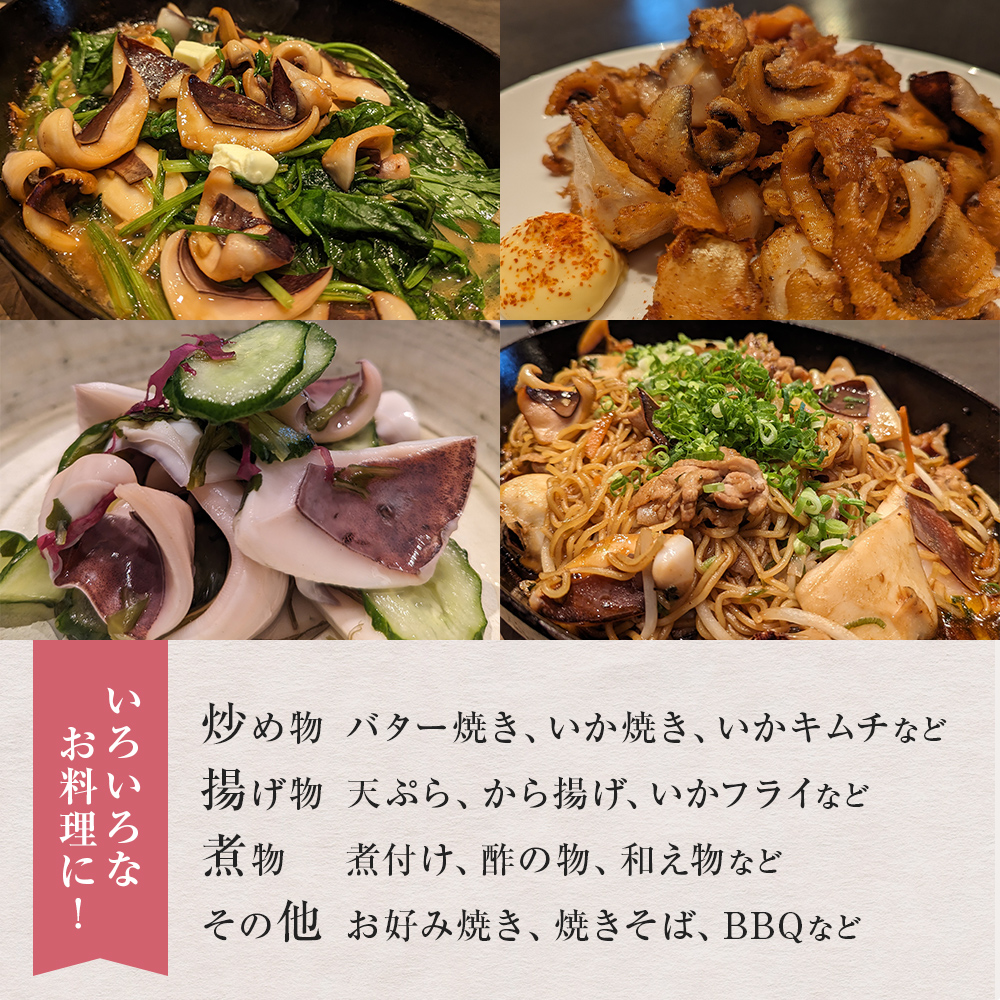 あおりいか の耳 1kg  ＜訳あり＞ 富山県 氷見市 アオリイカ 