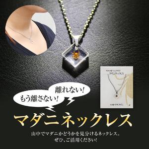 もう離さない！マダニネックレス ｜ ネックレス