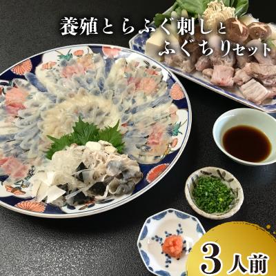 ふるさと納税 下関市 ふぐ 刺身 ちり セット 養殖 とらふぐ 冷蔵 3人前【 期間限定 】 JA012