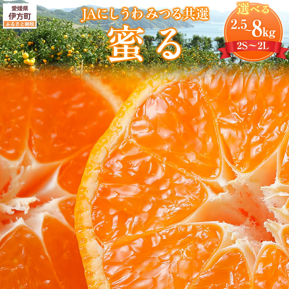 【ふるさと納税】 JAにしうわ みつる共選「蜜る」選べる数量 2.5kg ～ 8kg ※離島への配送不可（2025年11月中旬より順次発送予定） 【 ふるさと納税 人気 おすすめ ランキング 柑橘 みかん 蜜る 光センサー 果物 フルーツ ブランド 旬 愛媛県産 愛媛県 伊方町 送料無料 】