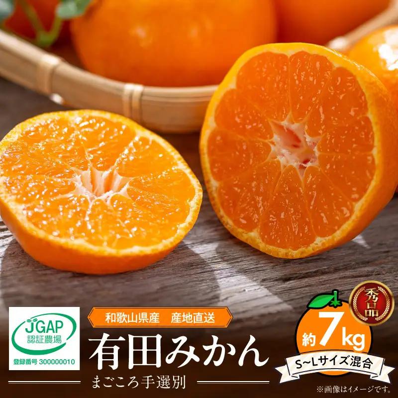 【2026年先行予約】【秀品】和歌山県産　有田みかん 約7kg 秀品（S～Ｌサイズ混合）【まごころ手選別】_ZE6515