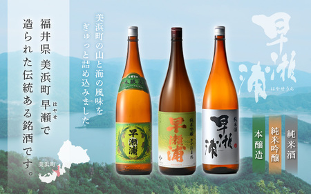 入手困難【早瀬浦】純米吟醸 さかほまれ 1800ml ＆ 純米酒 1800ml ＆ 本醸造 1800ml × 各1本ずつ セット【飲み比べ 日本酒 地酒 福井 美浜 早瀬 フルーティ 男酒 硬水 ミネ
