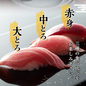 定期便 天然本まぐろ 6回お届け (b300-015)