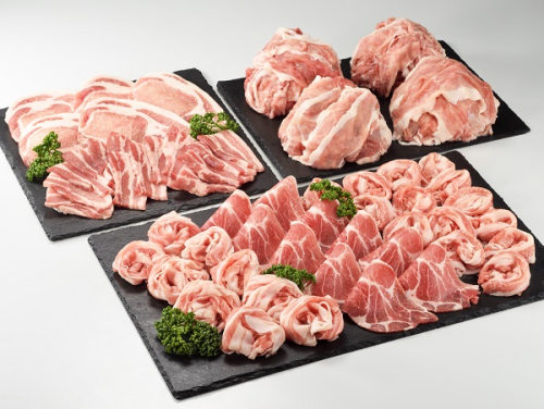 宮崎県産 綾ポーク バラエティ 3.6kgセット（500g×8パック） 国産 綾町産 綾豚 綾ポーク 豚肉 ポーク 肩ロース 生姜焼き ロース とんかつ 焼肉 切り落とし 豚バラ しゃぶしゃぶ 小分け 家庭用 送料無料