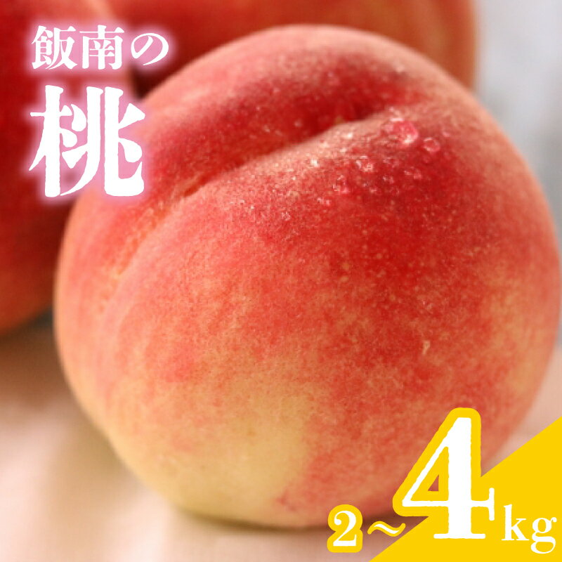 【ふるさと納税】 【2025年6月下旬より順次発送】 桃 約2-4kg 飯南の桃 もも モモ 果物 くだもの 果実 フルーツ 旬 旬の果物 デザート スイーツ おやつ ゼリー ジュース 人気果物 人気フルーツ ランキング 香川 丸亀