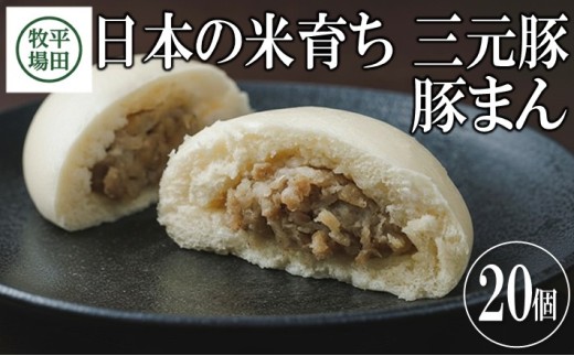 【TVで紹介！】三元豚 豚まん 20個 計2kg ブランド豚 銘柄豚 豚肉  三元豚 肉まん にくまん お米 米 豚 まんじゅう 中華まん おやつ 冷凍 簡単調理 ギフト 贈り物 贈答 ブランド おすすめ 庄内 平田牧場 山形 酒田 SC0501