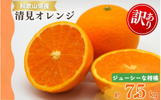 【ご家庭用訳アリ】紀州有田産 清見オレンジ 7.5kg  ※2026年3月下旬頃〜2026年4月中旬頃に順次発送予定(お届け日指定不可) / オレンジ みかん ミカン 蜜柑 柑橘 フルーツ 果物 くだもの 和歌山【uot730】