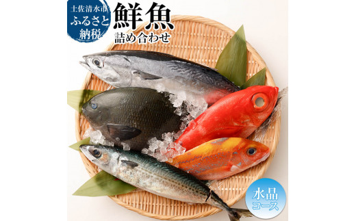 おまかせ！季節の鮮魚 お楽しみセット（2万円 水晶コース）天然魚 食べ比べ 魚介類 海鮮料理 詰め合わせ セット 鮮魚 お楽しみ おまかせ 新鮮 魚 季節の魚 美味しい おいしい 高知 土佐清水市【R01215】