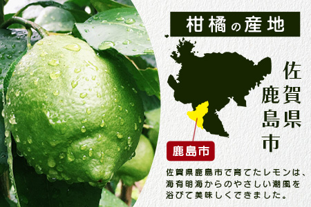B-367【貴重な国産レモン】佐賀県鹿島産 リスボンレモン ５ｋｇ