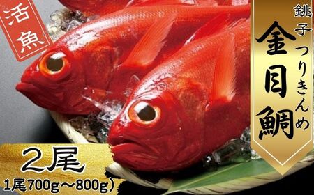 生 キンメダイ  2尾 （1尾700g～800g） 金目鯛 銚子 新鮮 銚子港水揚げ つりきんめ キンメ 釣り きんめ キンメダイ きんめだい おさしみ 刺し身 煮つけ 海鮮料理 お祝い お祝い膳 お食い初め 千葉県 銚子市 網中昭商店 
