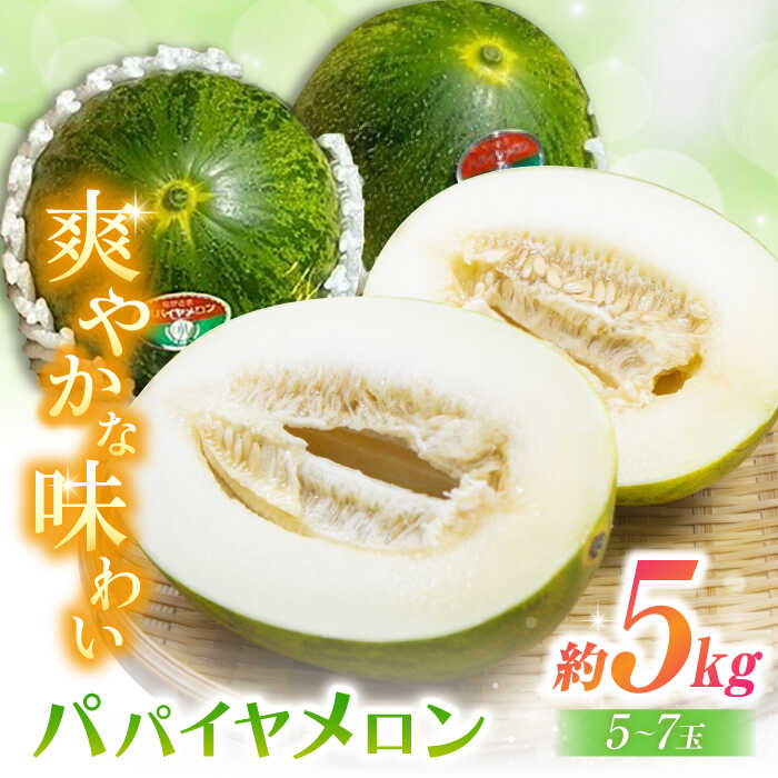 【2026年4月中旬〜発送】パパイヤメロン 約5kg（約5〜7玉）/ メロン めろん パパイヤメロン 果物 フルーツ / 南島原市 / 長崎県農産品流通合同会社 [SCB086]