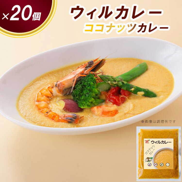 【ふるさと納税】【ウィルカレー】ココナッツカレー20個入：甘みと旨味が際立つまろやかカレー ※沖縄・離島への配送不可