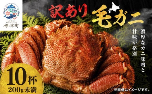【溢れる旨味！】こだわり品質 毛ガニ 若蟹 200g未満× 10杯 わけあり 国産 北海道 羅臼産 蟹 かに カニ 毛がに 毛蟹  冷凍毛ガニ 冷凍かに 冷凍カニ 訳ありカニ 訳アリ 訳アリ毛ガニ 訳あり毛ガニ 人気 ランキング おすすめ ごほうび 贅沢 毛ガニ冷凍 蟹脚 蟹あし カニ脚 かに北海道 北海道産 魚貝類 魚介類 海鮮 魚介 魚貝 お盆 お祝い プレゼント 北海道 標津町