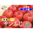 【ふるさと納税】【クール便】4月発送 白熊 特選 サンふじ 絆 約3kg 糖度13度【弘前市産 青森りんご・CA貯蔵】　 果物 フルーツ 食後 デザート シャキシャキ ジューシー りんごの王様 　お届け：2025年4月1日～2025年4月30日