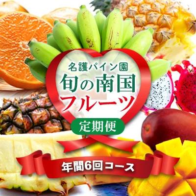 ふるさと納税 名護市 【発送月固定定期便】一番美味しい時期にお届け!旬の南国フルーツ定期便全6回