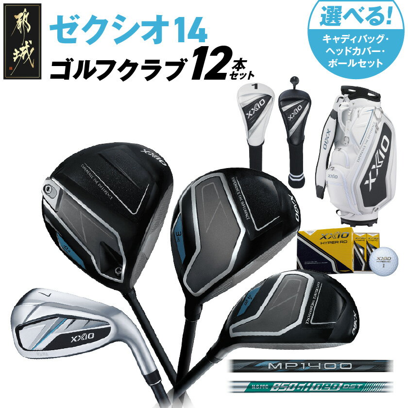 【ふるさと納税】【セット内容が選べる】ゼクシオ 14 スチールシャフト 12本セット 《2025年モデル》 - ダンロップ ゼクシオ 14シリーズ 2025年モデル スチールシャフト フルセット ゴルフ用品 スポーツ用品 送料無料 SKU-C720【宮崎県都城市】