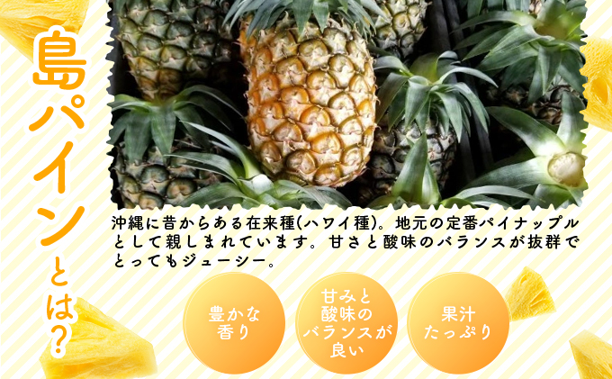 2026年 先行予約 島パイン (ハワイ種) 約2.5kg（2～3玉） パイナップルの王道 西表島産 パイン 果物 フルーツ