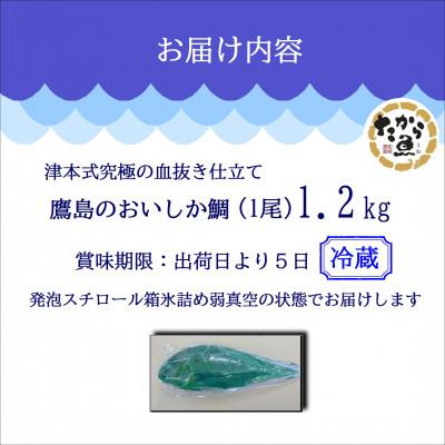 ふるさと納税 松浦市 おいしかタイ約1.2kg　〜津本式の血抜き仕立て〜 |  | 03