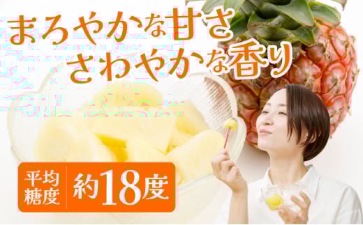 《2026年 先行予約》ピーチパイン 約5kg 5～8玉 農園ファイミール 完熟 果物 フルーツ 約5kg（5～8玉入り）