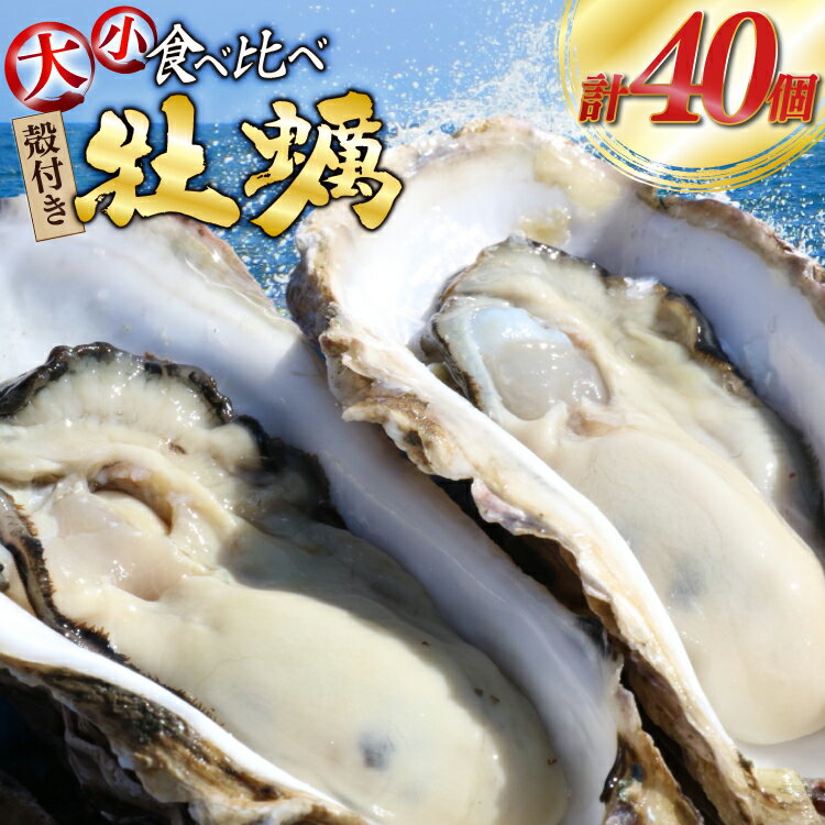 【ふるさと納税】 【期間限定発送】 殻付き 牡蠣 計40個 2種(三陸ジオイスター ＆ OMAKI ) 食べ比べ セット 各20個 牡蠣ナイフ付 [Geoyst 宮城県 南三陸町 m304bdz670001] かき カキ オイスター 生牡蠣 真牡蠣