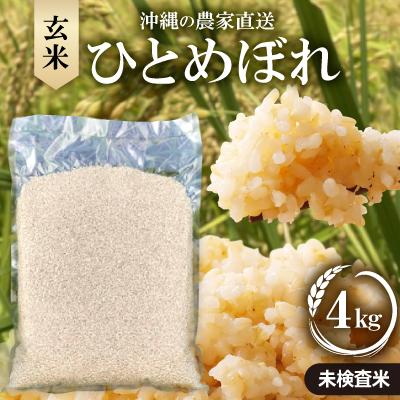 ふるさと納税 国頭村 【令和7年産新米】沖縄の農家直送 ひとめぼれ 玄米(栽培期間中農薬不使用)4kg
