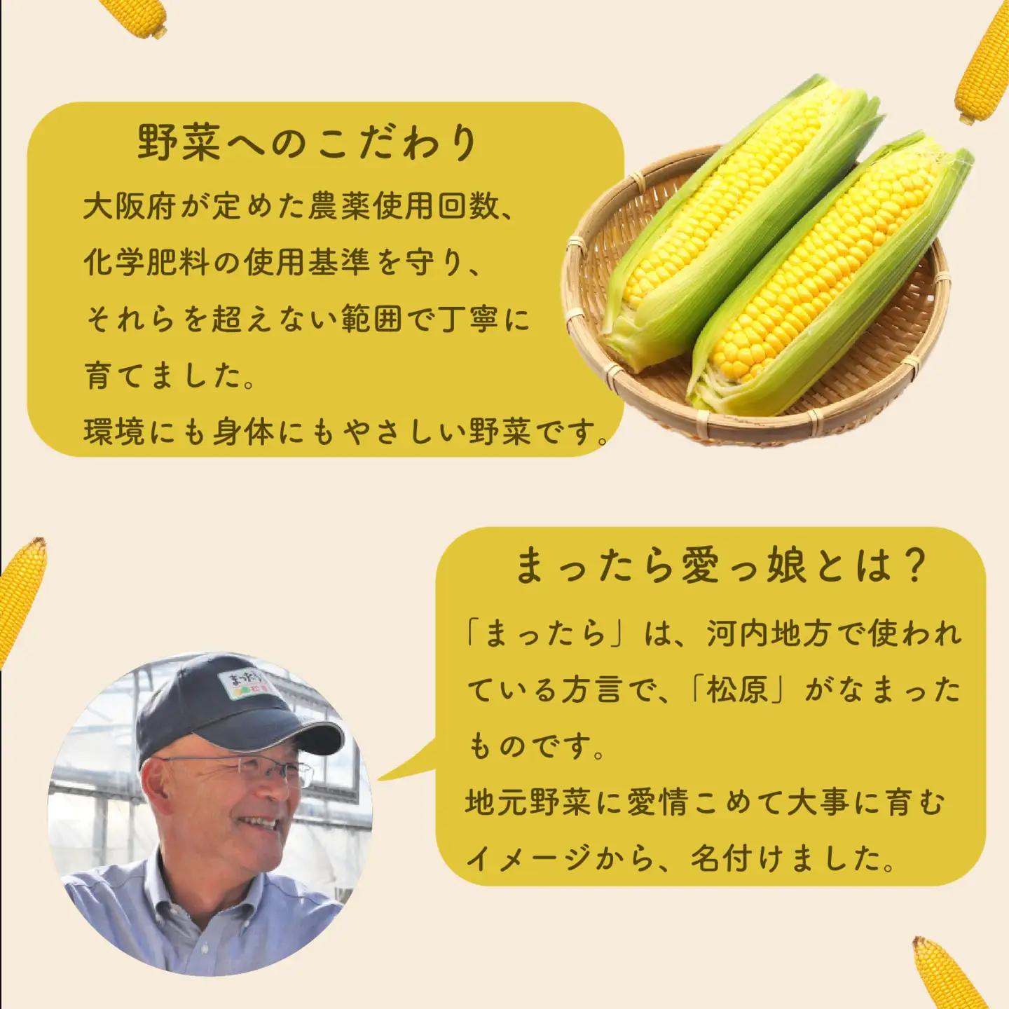 とうもろこし 8本 トウモロコシ