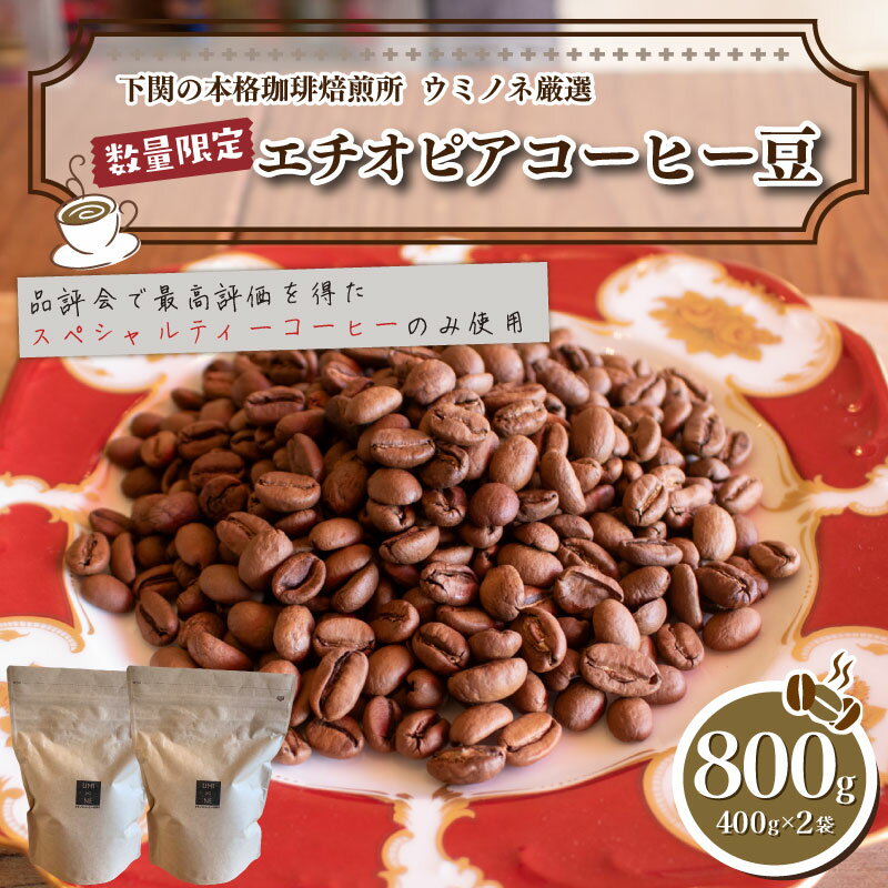【ふるさと納税】 訳あり コーヒー 豆 800g ( 400g × 2袋 ) エチオピア コーヒー豆 自家焙煎 焙煎 スペシャルティコーヒー 豆 選べる 煎り方 深煎り 中深煎り 浅煎り 珈琲 飲料 限定 おうち時間 下関 山口