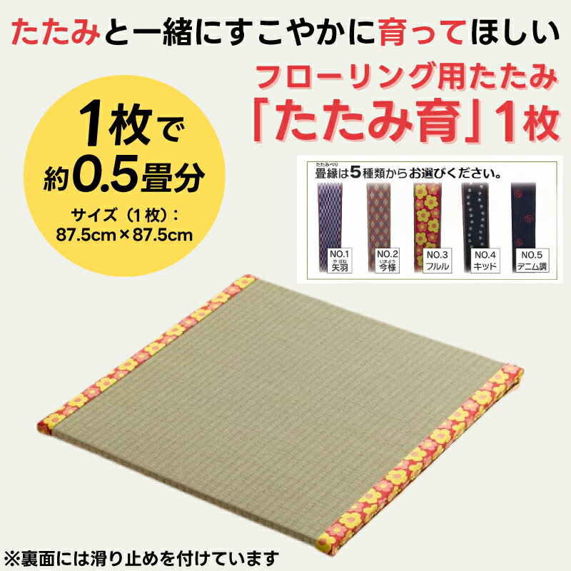 【ふるさと納税】 フローリング用 たたみ たたみ育 1枚