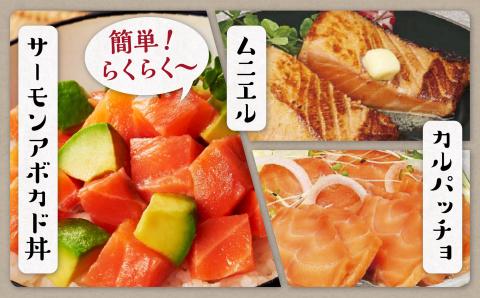 【数量限定】【訳あり】エンペラーサーモン【900g】_T012-1017