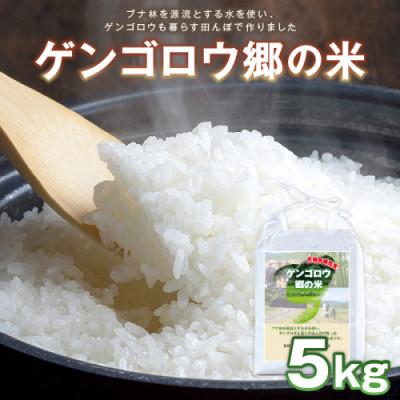 ふるさと納税 京丹後市 2025年産 京丹後産生物多様性米コシヒカリ「ゲンゴロウ郷の米」5kg箱入 おいしいお米