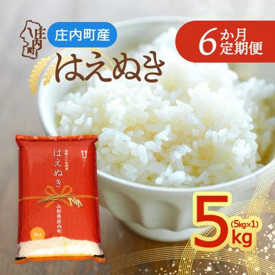 ふるさと納税 庄内町 【定期便】<令和8年産>はえぬき 5kg×1袋×6ヶ月 毎月 5kg【10月中旬発送】