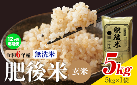 【12ヶ月定期便】熊本県産 肥後米 無洗米 玄米 5kg 1袋5kg 米 お米 令和6年産 九州産 熊本県産 ブレンド米 送料無料《お申込み翌月に出荷予定》玄米 無洗米 米