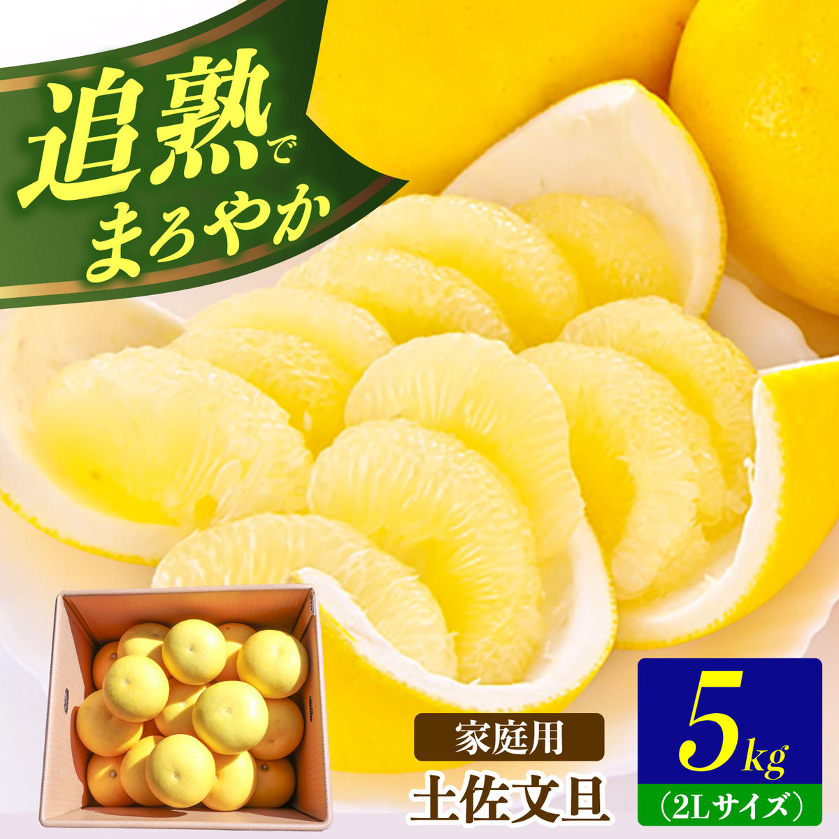 【先行予約】土佐文旦の創始 宮地文旦園の土佐文旦 家庭用2L 約5キロ 10～12個入り 5kg〈2027年3月上旬～4月下旬〉 ぶんたん ブンタン フルーツ 柑橘 みかん 果物 くだもの 柑橘類 デザート プレゼント ギフト 高知県 土佐市【宮地文旦園】[BQBP002]