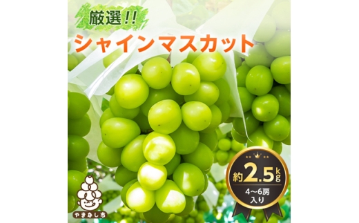 2027年発送 先行予約　山梨県産 シャインマスカット 約2.5kg(4～6房) 旬の果物【1272527】