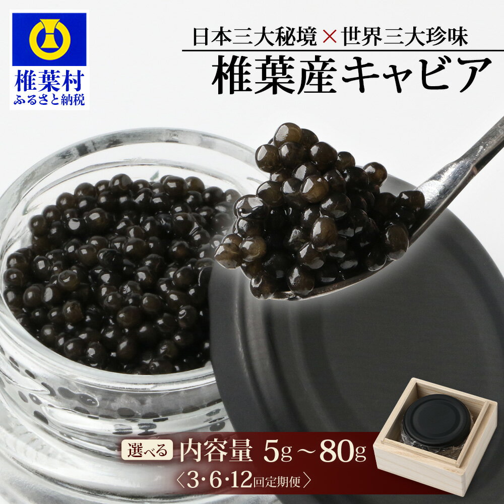 【ふるさと納税】 選べる 内容量 配送回数【桐箱入り】HEIKE CAVIAR 椎葉産 キャビア 5g ～ 80g 1回 ～ 12回 | 定期便 選べる 回数 送料無料 キャビア 国産 チョウザメ お酒 プレゼント 魚介 魚卵 珍味 世界三大珍味 加工品 冷凍 高級 贅沢 グルメ ギフト 贈り物 | SZ-109