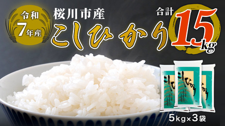 【 令和7年産 】 数量限定 桜川市産こしひかり 15kg（5kg×3袋）茨城県産 桜川 米 お米 白米 コメ ごはん 精米 コシヒカリ こしひかり 国産 限定 [AX006sa]
