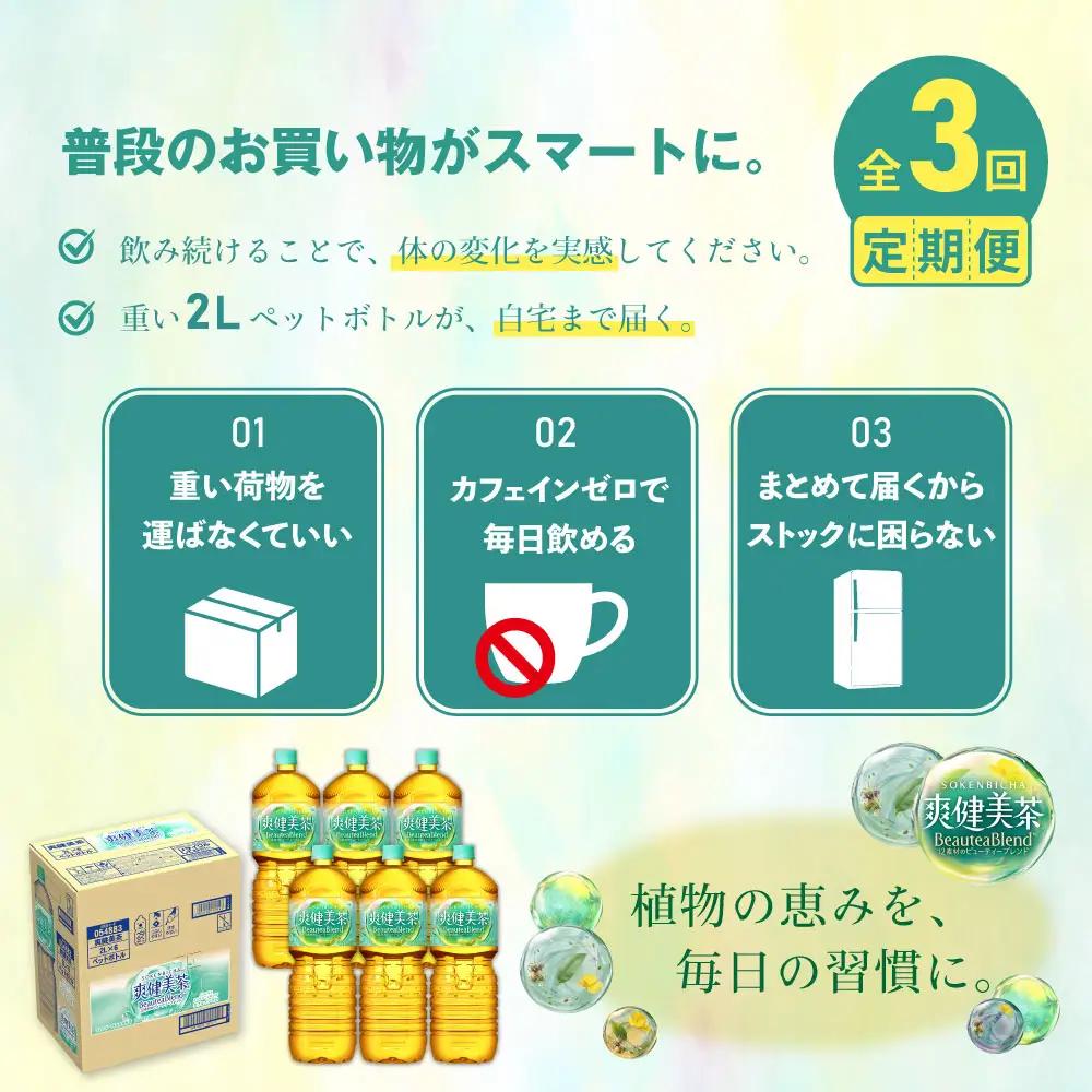 『定期便：全3回』爽健美茶2000mlPET×6本【38000802】