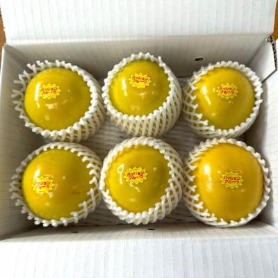 ふるさと納税 国頭村 【2026年5月から順次発送】国頭村産パッションフルーツ イエロー1kg(5〜7玉) |  | 01