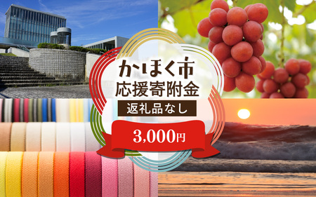 【返礼品なし】石川県 かほく市 応援寄附金 3,000円分 | 支援 純粋寄附