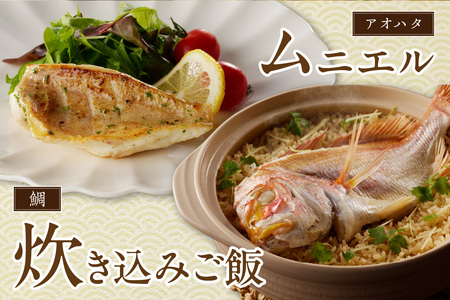 【定期便】季節の鮮魚セット年6回コース 定期便 6回 鮮魚 お任せ お取り寄せ 魚介 鮮魚 セット 下処理済み 【744】