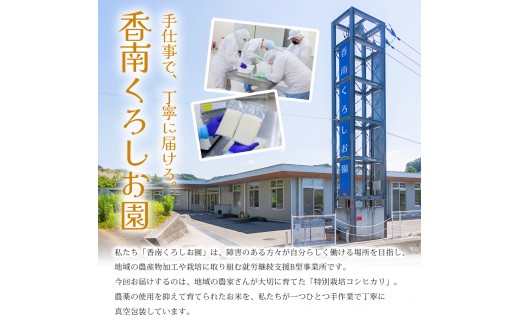 【令和8年度産】 米（コシヒカリ） 2合（300g) ×10 お米 精米 こしひかり 2合 特別栽培 真空包装 真空パック 使い切り SDGs 備蓄 こめ コメ お米 おこめ ライス ke-0063