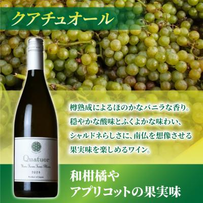 ふるさと納税 東御市 【ヨネファーム東御】クアチュオール、メランジュ・ボルドレーズ　各1本、計2本 |  | 01