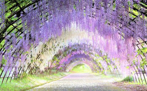 福岡県北九州市 ANAトラベラーズホテル割引クーポン22,500点分
