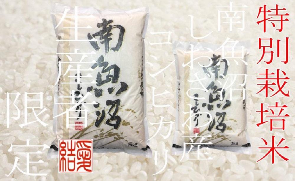 【令和7年産】【定期便5Kg×3ヶ月】【特別栽培米】 契約生産者限定  南魚沼しおざわ産コシヒカリ