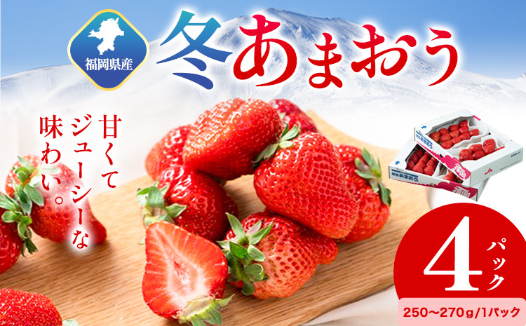 
            福岡県産 冬あまおう 4パック 南国フルーツ株式会社《12月上旬-1月末頃出荷》福岡県 小竹町 あまおう いちご イチゴ 送料無料【配送不可地域あり】
          